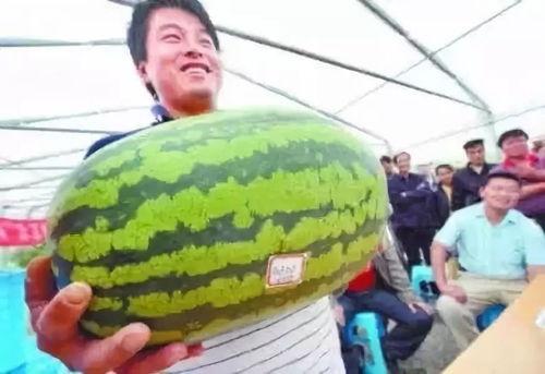 娱乐吃瓜7月,吃瓜群众狂欢季，热点事件盘点